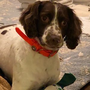 Meet your Posher, Paula